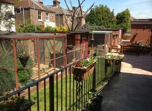 Bluebell Nursing Home